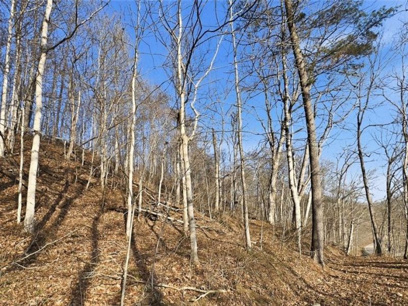 0 OH-148, Beallsville, OH 43716 Photo 14