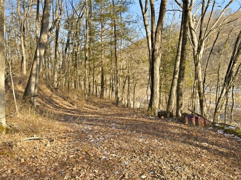 0 OH-148, Beallsville, OH 43716 Photo 15