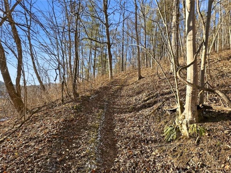 0 OH-148, Beallsville, OH 43716 Photo 16