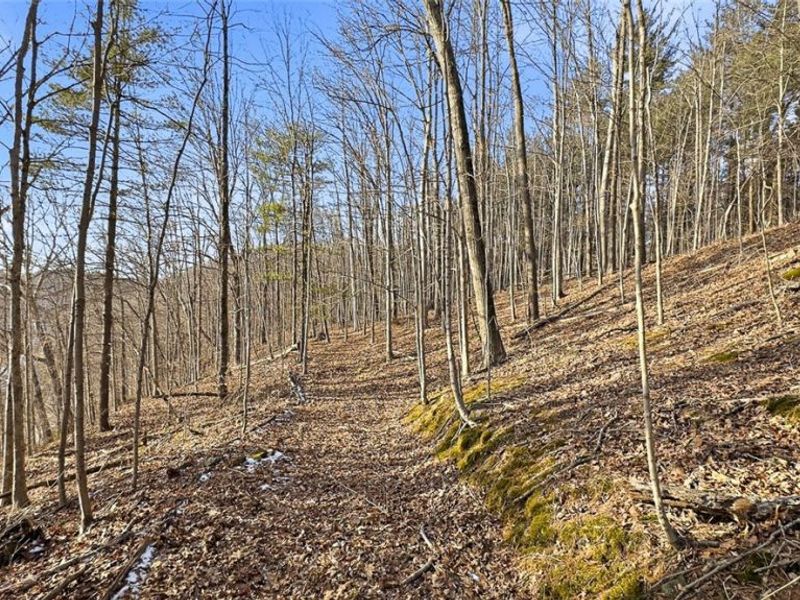 0 OH-148, Beallsville, OH 43716 Photo 17