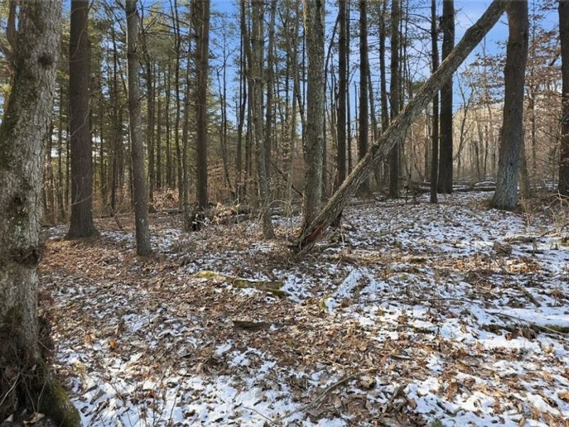 0 OH-148, Beallsville, OH 43716 Photo 21