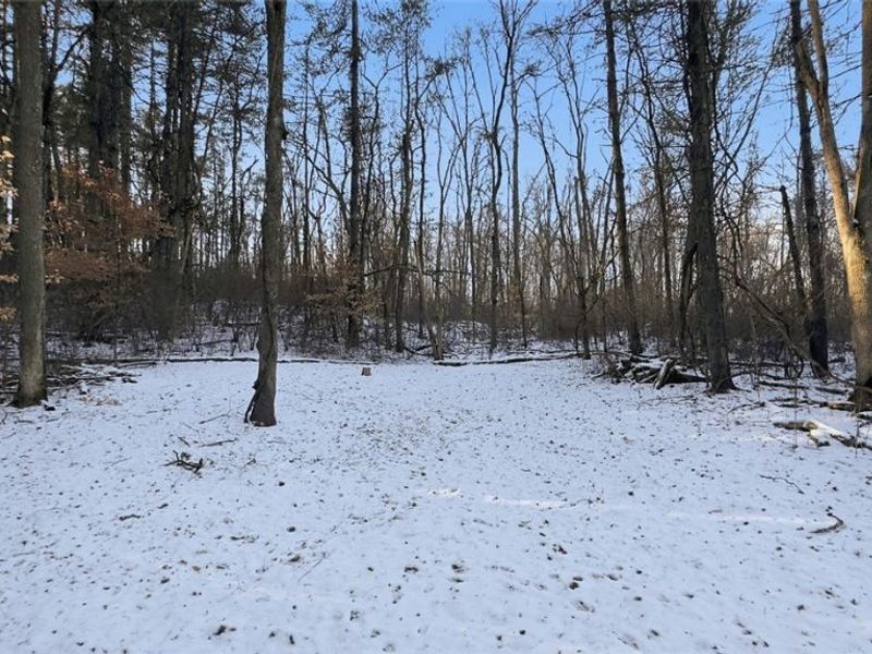 0 OH-148, Beallsville, OH 43716 Photo 22