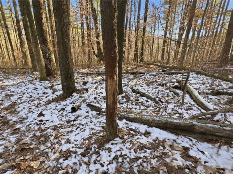 0 OH-148, Beallsville, OH 43716 Photo 23