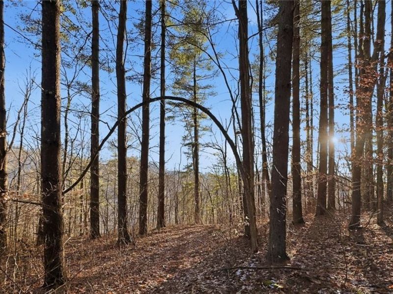 0 OH-148, Beallsville, OH 43716 Photo 24