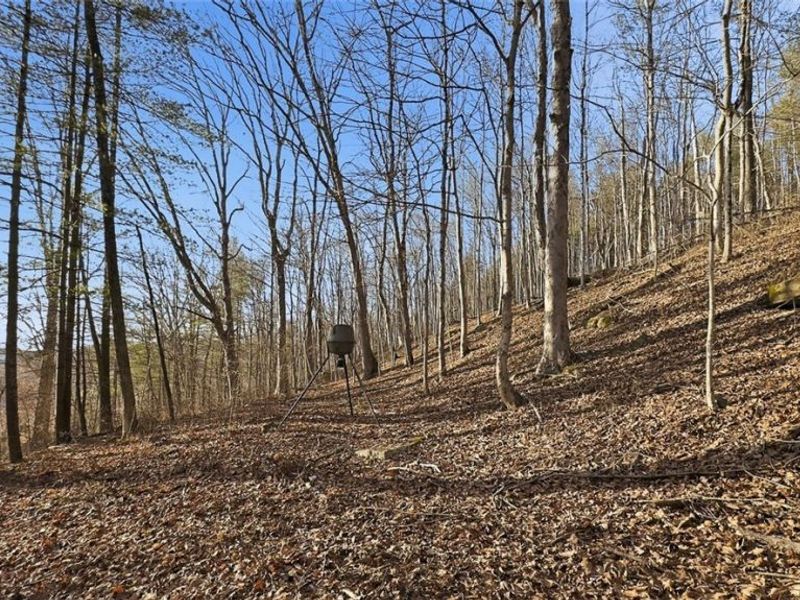 0 OH-148, Beallsville, OH 43716 Photo 25