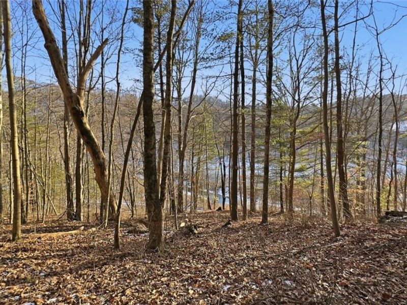 0 OH-148, Beallsville, OH 43716 Photo 26