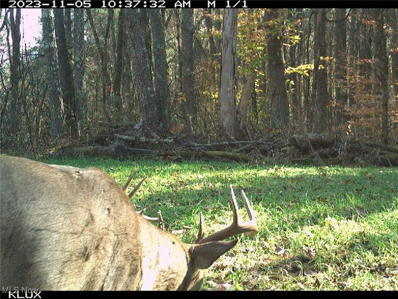 0 OH-148, Beallsville, OH 43716 Photo 28