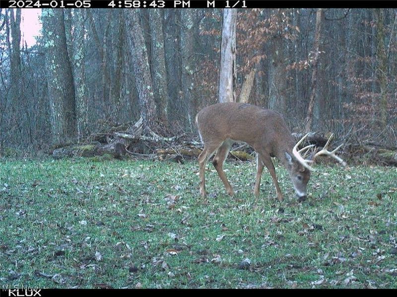 0 OH-148, Beallsville, OH 43716 Photo 29