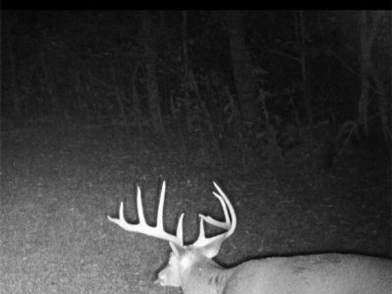 0 OH-148, Beallsville, OH 43716 Photo 31