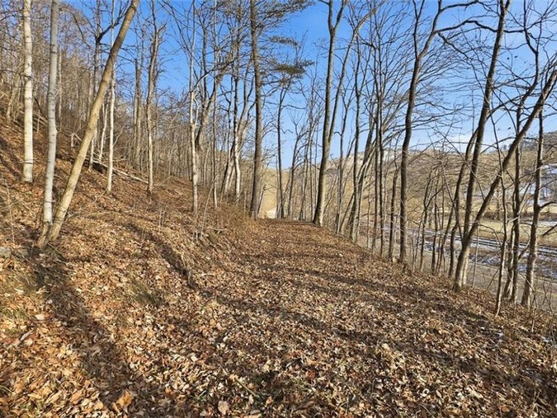 0 OH-148, Beallsville, OH 43716 Photo 7