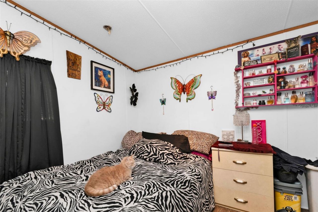 6128 Padula Street, Punta Gorda, FL 33950 Photo