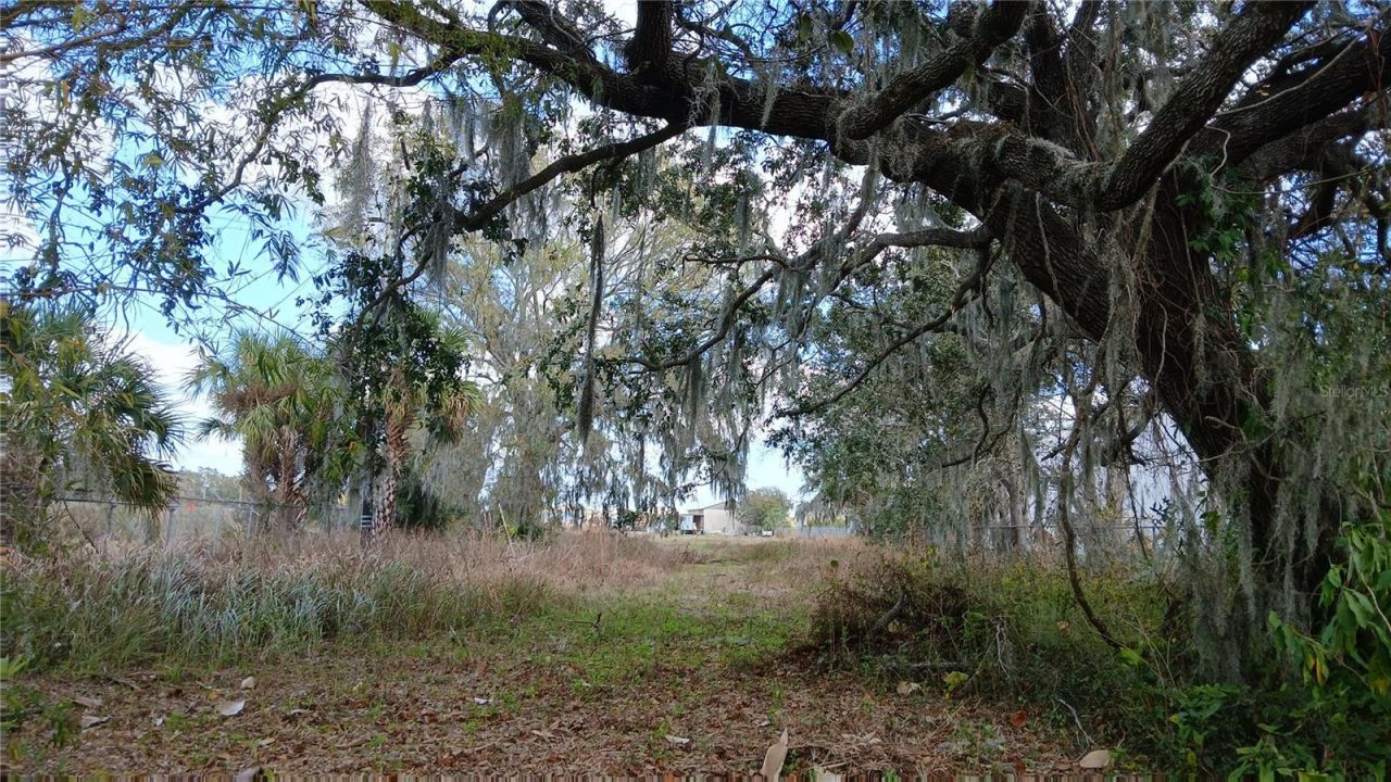 2295 Us Highway 92 E, Plant City, FL 33563 Photo