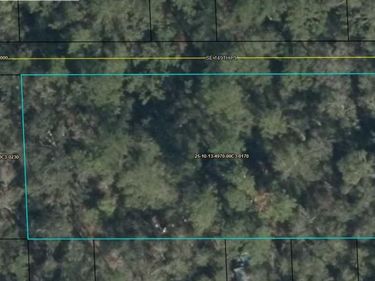 SE 149TH PLACE, OLD TOWN, FL 32680