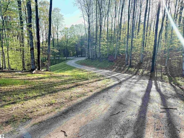 1 Bright Road S, Maple City, MI 49664