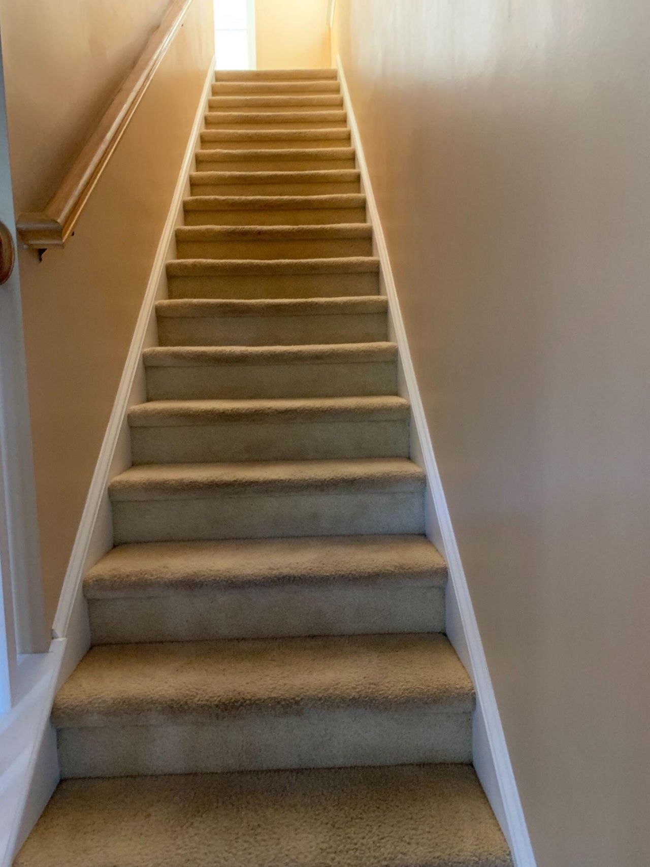 105 Barberry Street Photo 11