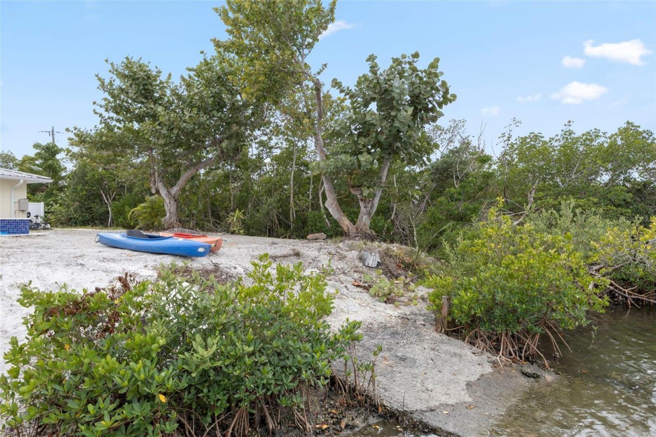 910 Bayshore Drive, Terra Ceia, FL 34250 Photo