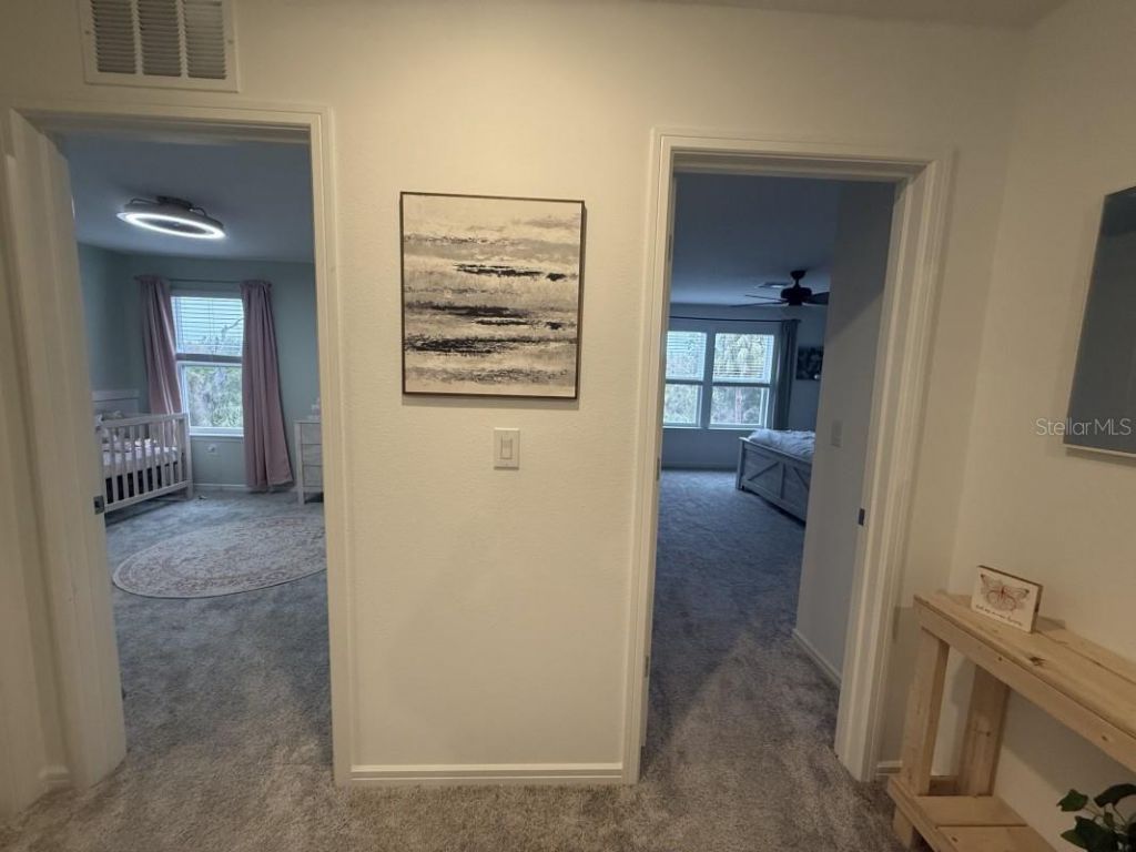 11787 Moonsail Drive, Parrish, FL 34219 Photo