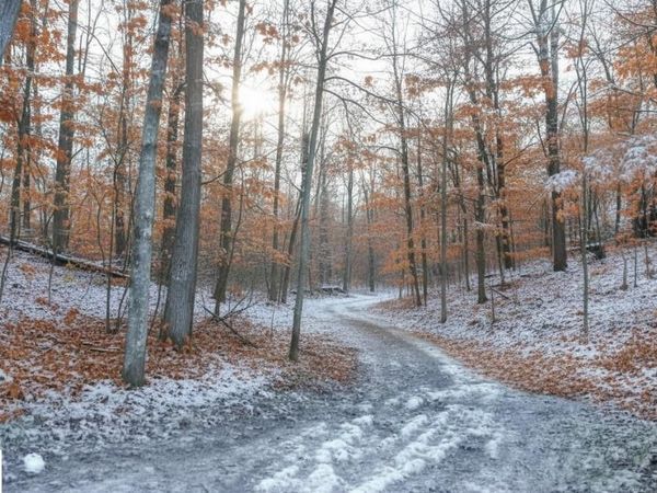 4181 Maple Hill Road, Grawn, MI 49637