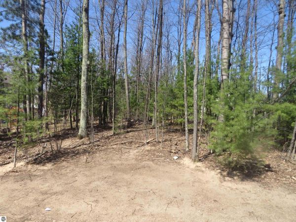 4181 Maple Hill Road, Grawn, MI 49637