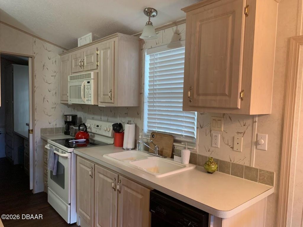 25247 NE 141st (lot 248) Lane, Salt Springs, FL 32134 Photo