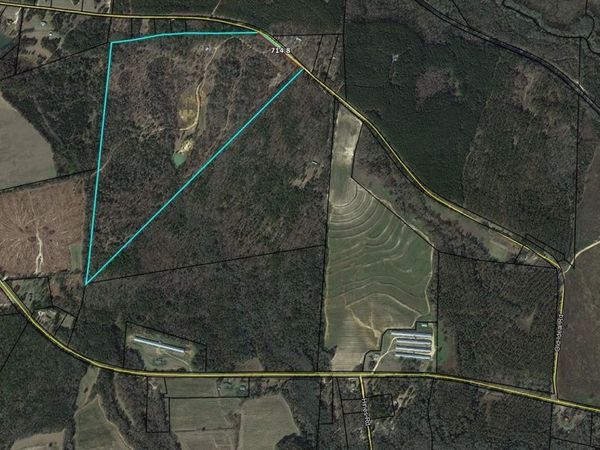 1163 Old Ideal Road, Oglethorpe, GA 31068