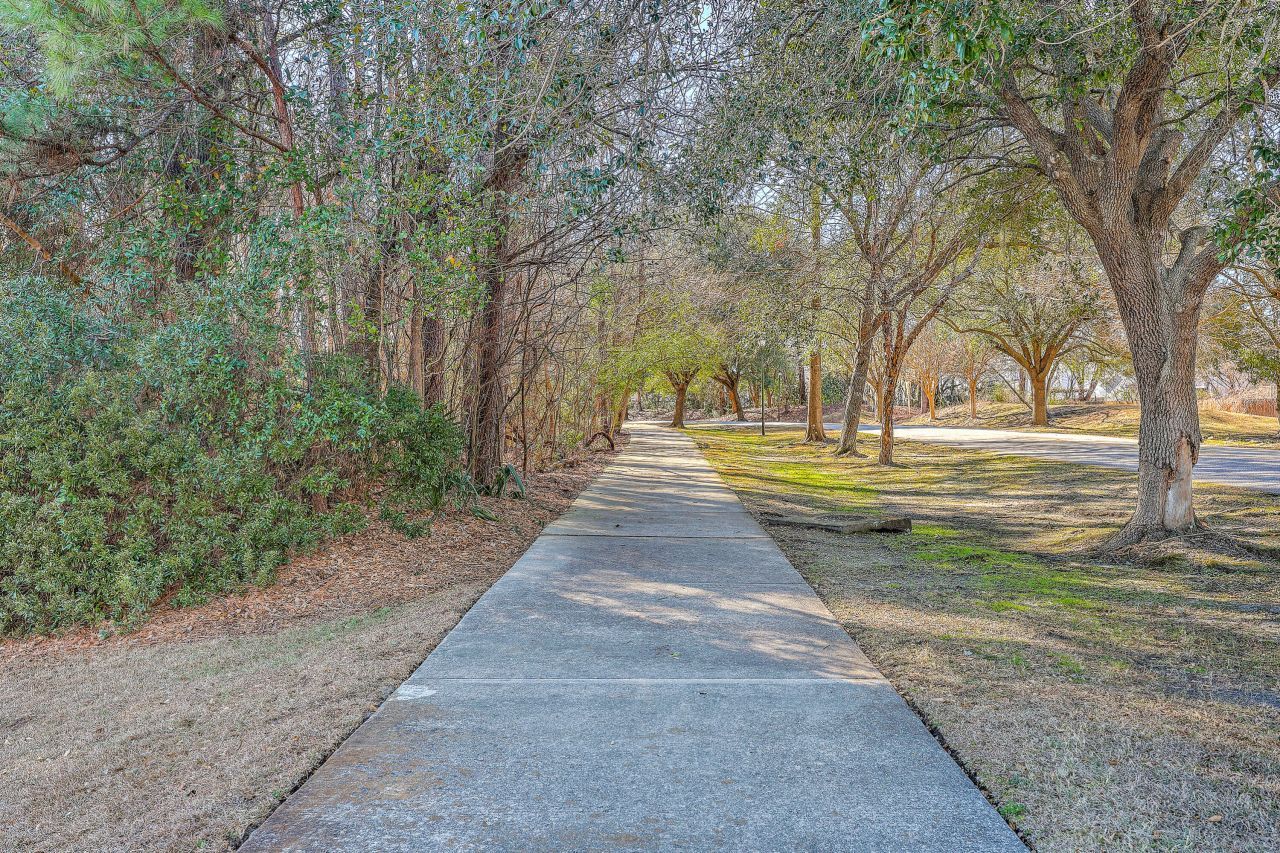 4104 Meadow Trace Court Photo 54