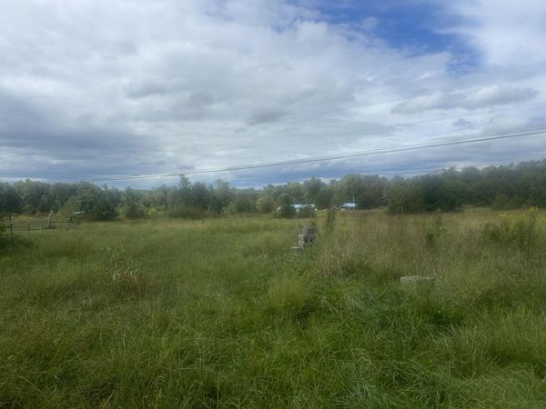 285 Raven Lane, Evensville, TN 37332