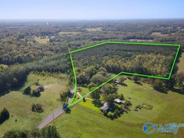 37 Acres County Road 321, Moulton, AL 35650