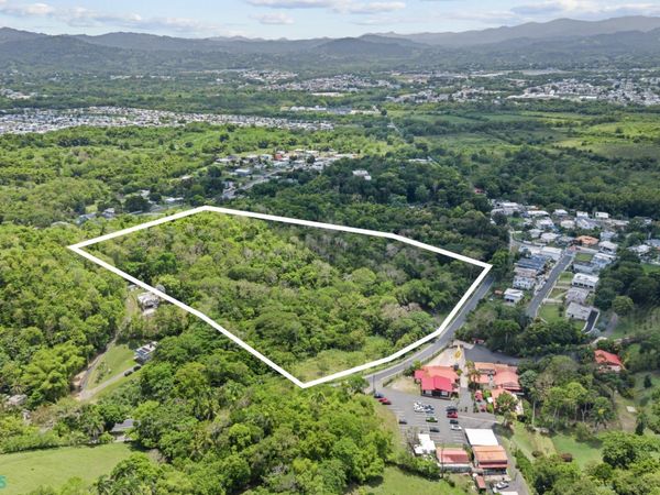KM 36.8 PR 181, San Lorenzo, PR 00754