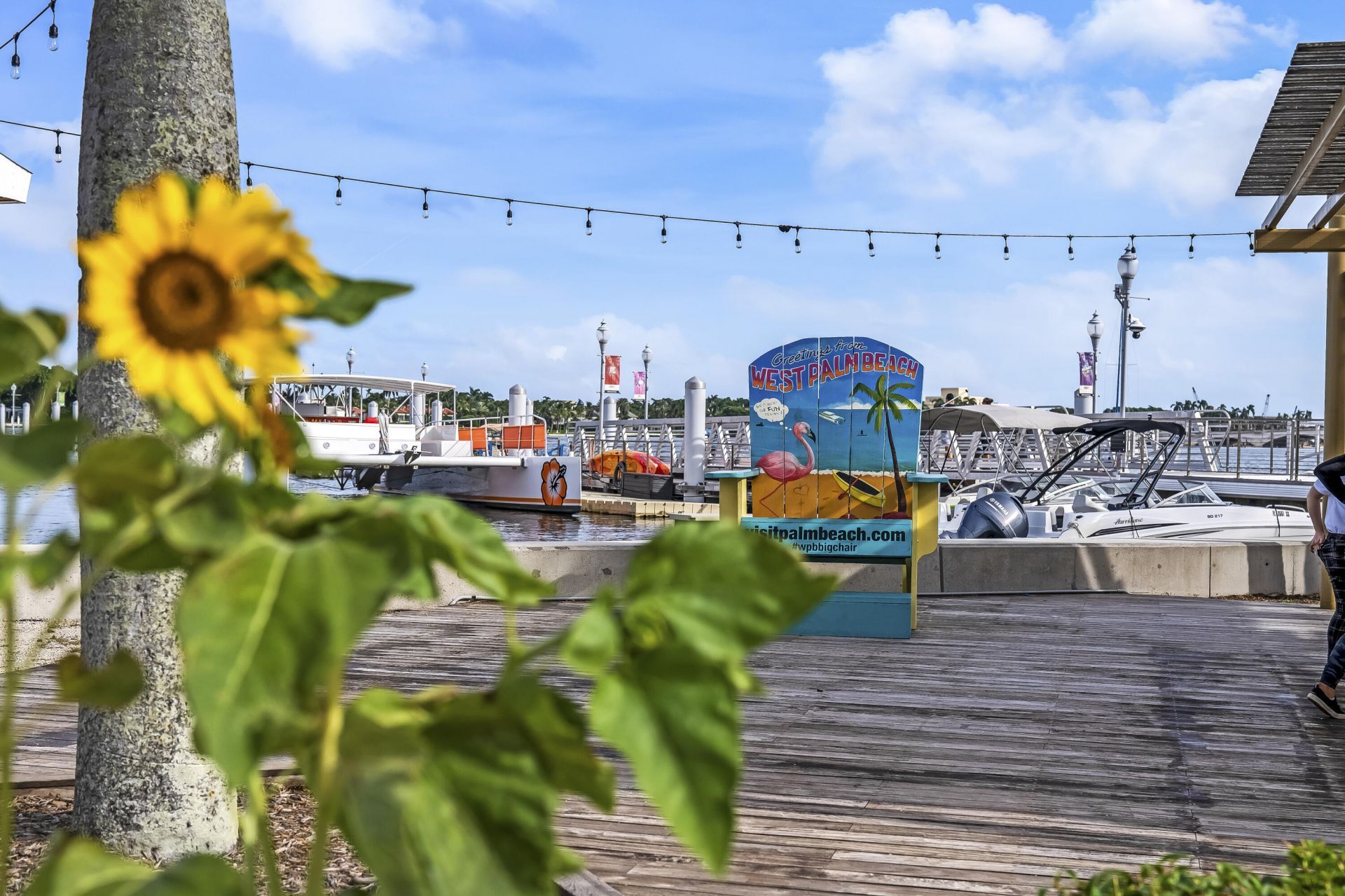 2167 Umbrella Cay, West Palm Beach, FL 33411 Photo