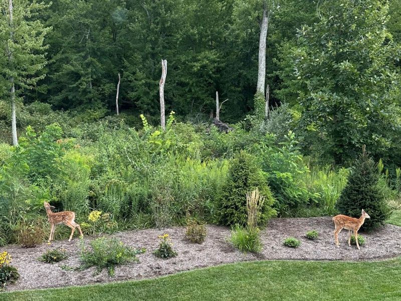 7387 Grafton Lane, Galena, OH 43021 Photo 56