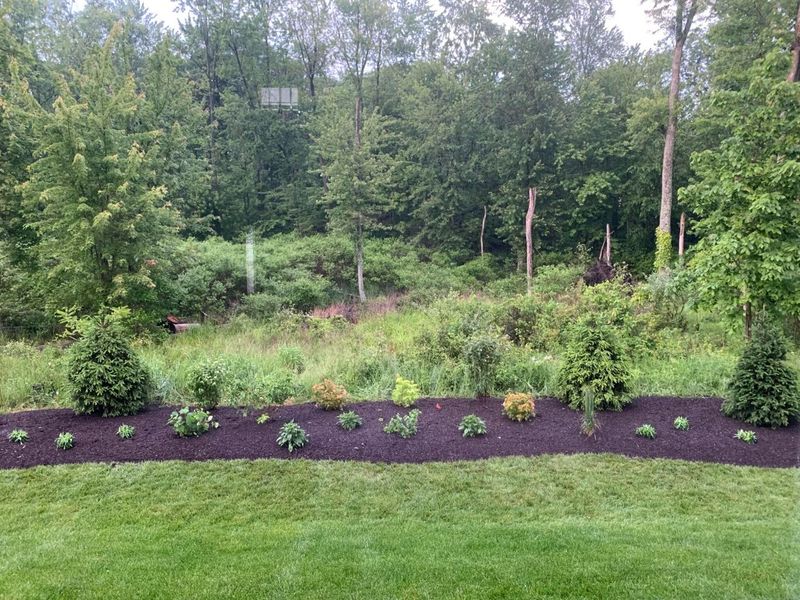 7387 Grafton Lane, Galena, OH 43021 Photo 57