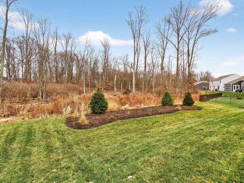 7387 Grafton Lane, Galena, OH 43021 Photo 58