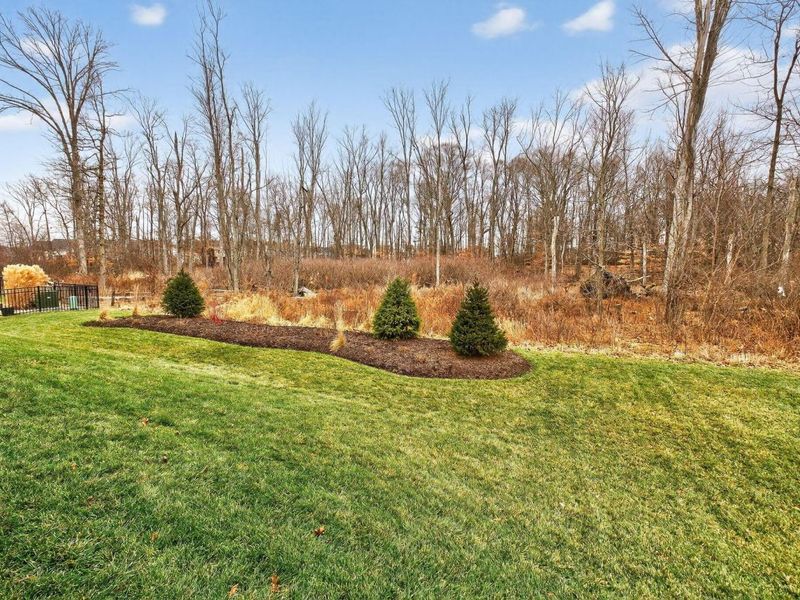 7387 Grafton Lane, Galena, OH 43021 Photo 58