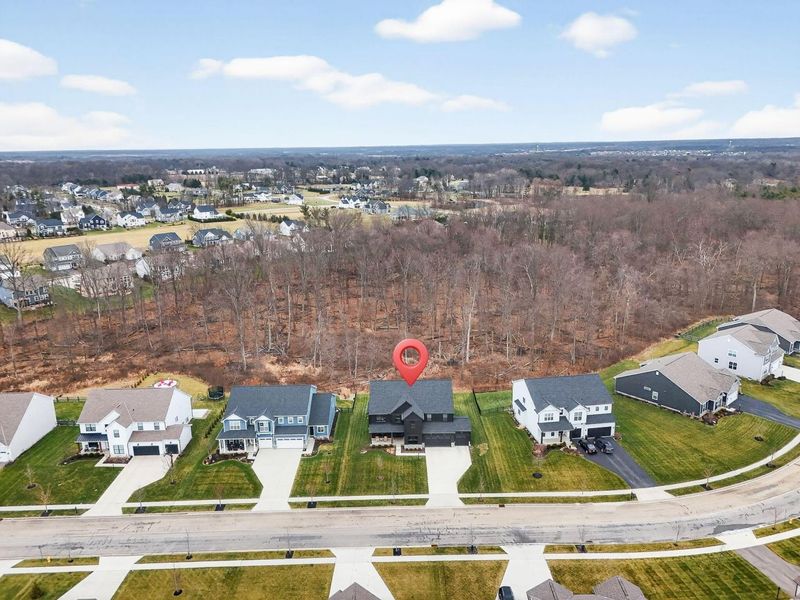 7387 Grafton Lane, Galena, OH 43021 Photo 59