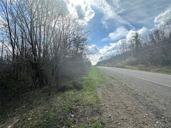 Pigtail Road, Friendship, NY 14739