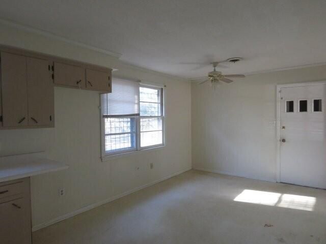 520 Cedar Lane Photo 11