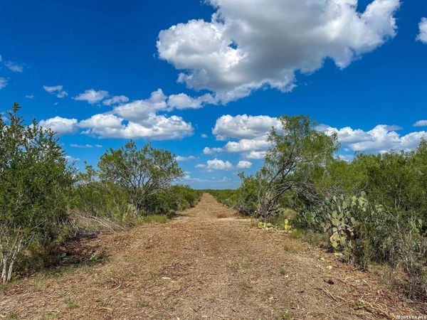 0000 Cameron Ln, Fowlerton, TX 78021