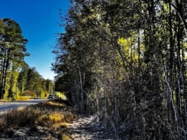 TBD Watkins Rd, Walker, LA 70785