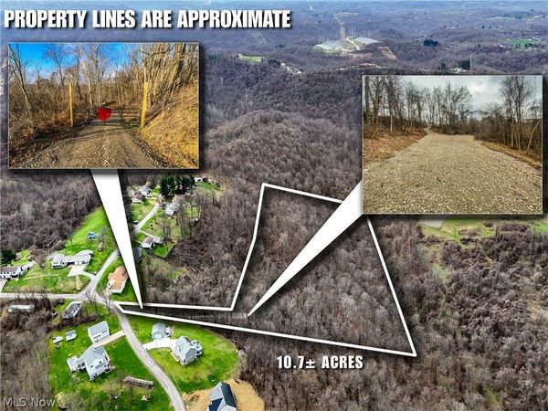 0 New Cut Rd, Shadyside, OH 43947