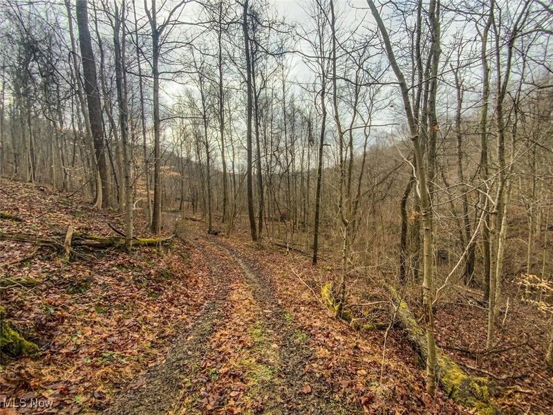 0 New Cut Rd, Shadyside, OH 43947 Photo 10