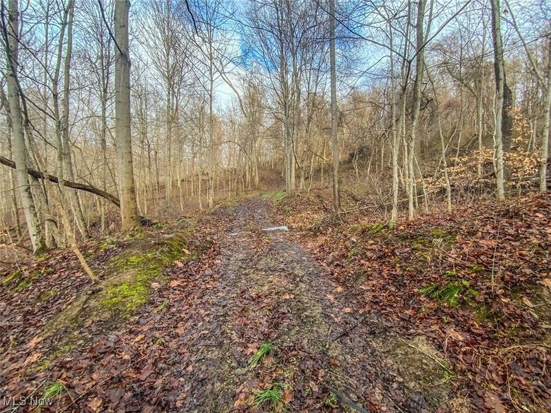 0 New Cut Rd, Shadyside, OH 43947 Photo 11