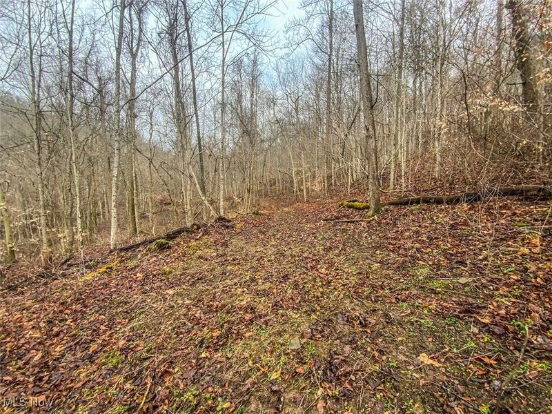 0 New Cut Rd, Shadyside, OH 43947 Photo 12