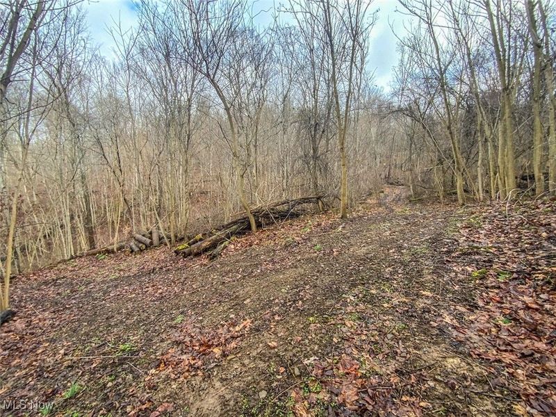 0 New Cut Rd, Shadyside, OH 43947 Photo 13