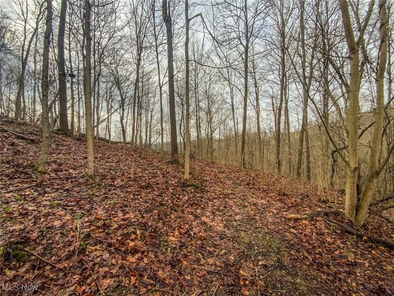 0 New Cut Rd, Shadyside, OH 43947 Photo 14