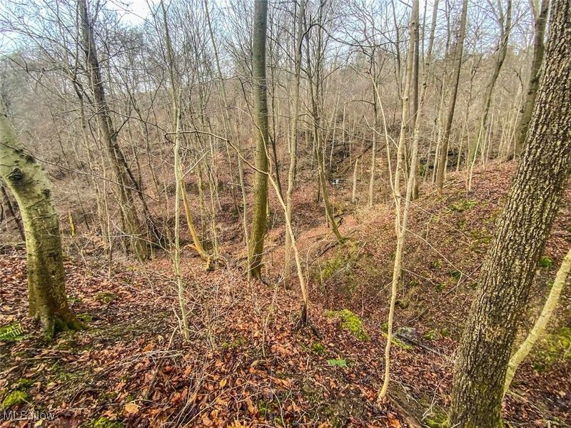 0 New Cut Rd, Shadyside, OH 43947 Photo 15