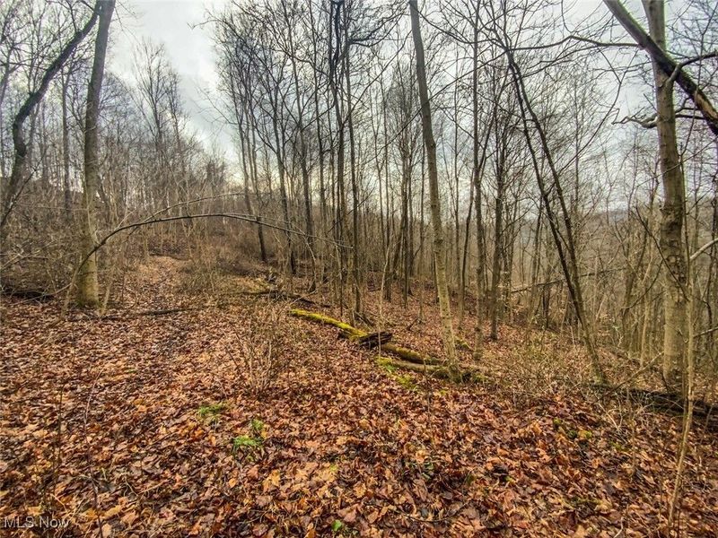 0 New Cut Rd, Shadyside, OH 43947 Photo 16