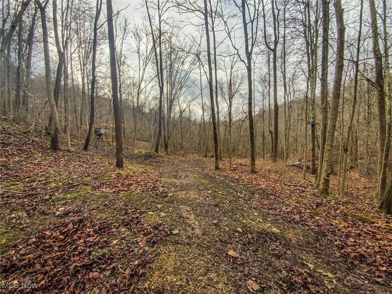 0 New Cut Rd, Shadyside, OH 43947 Photo 17