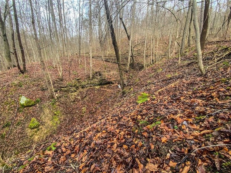 0 New Cut Rd, Shadyside, OH 43947 Photo 18