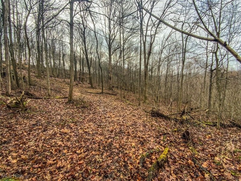 0 New Cut Rd, Shadyside, OH 43947 Photo 19